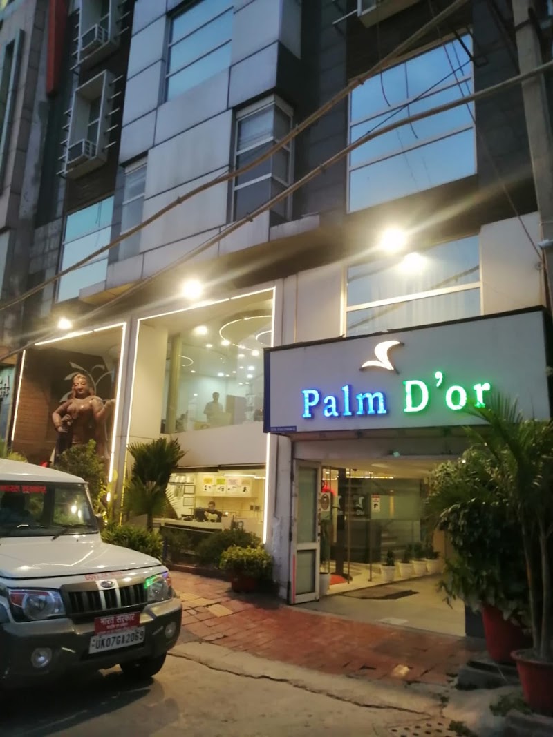 Hotel Palm D'or - Hotel Palm D'or 8595/1, Opp New Delhi Station, Desh Bandhu Gupta Rd, Arya Nagar, Paharganj, New Delhi, Delhi, 110055, India