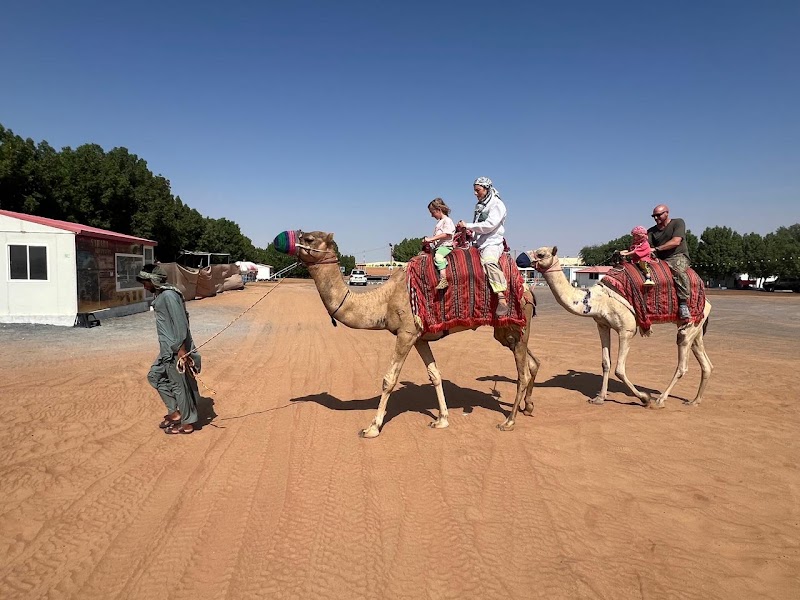 Dune Buggy Dubai - Dune Buggy Dubai, Almas Tower - Almas East - Lake - الثنيه الخامسة - أبراج بحيرات الجميرا - دبي - United Arab Emirates
