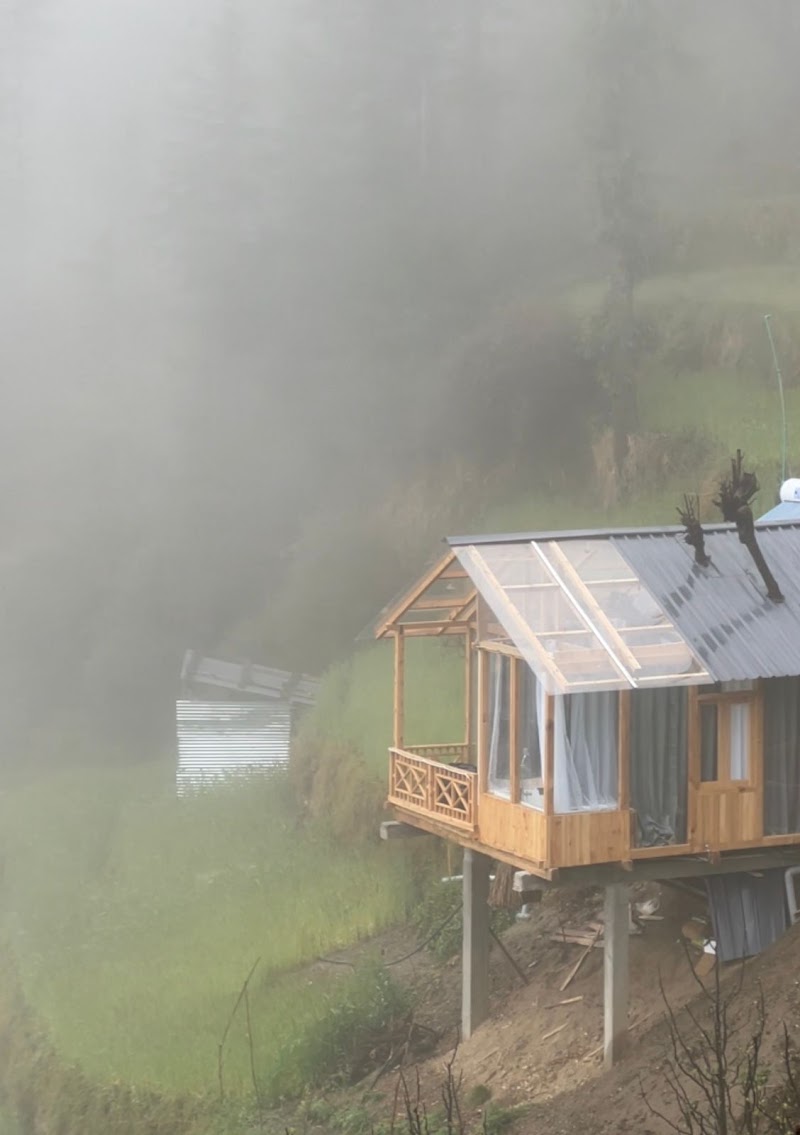 Cloud Walk Treehouse (Jibhi | Tandi) - Cloud Walk Treehouse (Jibhi | Tandi) Cloudwalk Treehouse, Vill Bhua, P.O, Tandi, Jibhi, Himachal Pradesh 175123, India