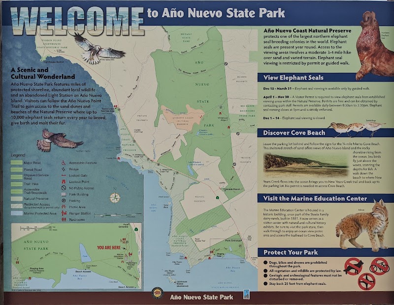 Año Nuevo State Park - Año Nuevo State Park 1 New Years Creek Rd, Pescadero, CA 94060, USA