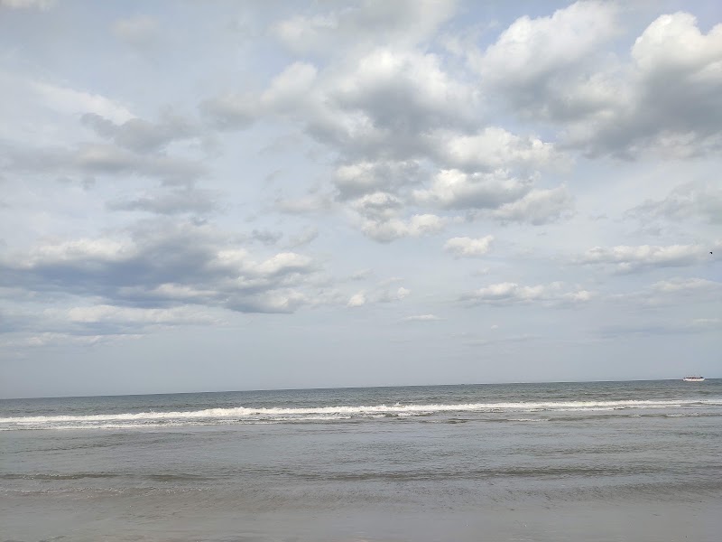 Auroville Beach - Auroville Beach, XRMX+J8Q, Periyamudaliyar Chavadi, Tamil Nadu 605104, India