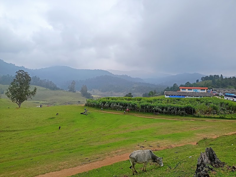 Kodaikanal Hill Station - Kodaikanal Hill Station Kodaikanal, Tamil Nadu 624101, India