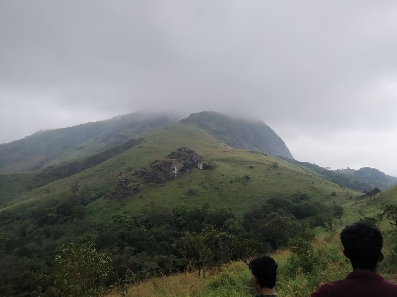 Chirapullu Peak - Chirapullu Peak PW53+MG6, Kerala 670731, India