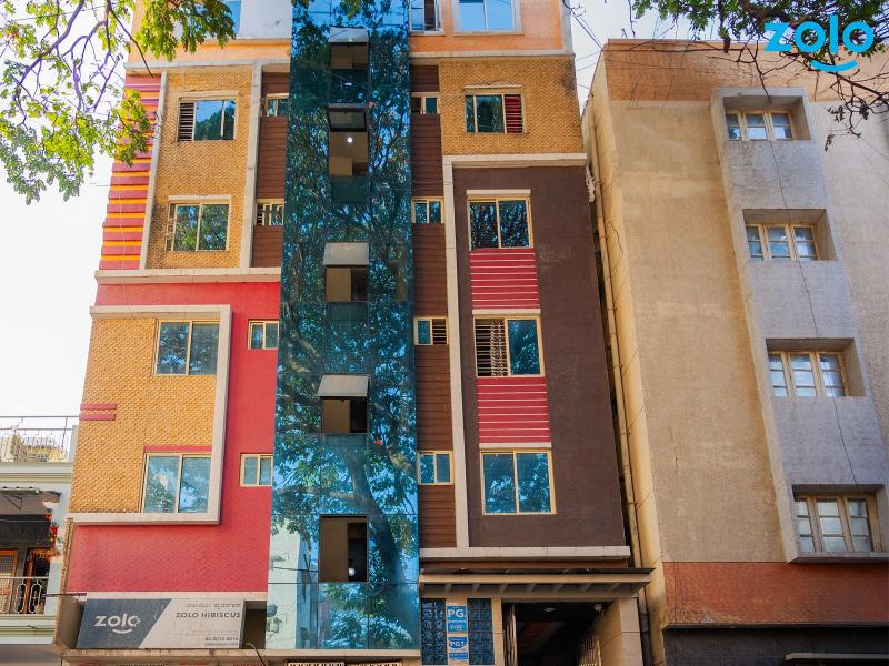 Zolo Hibiscus - Best PG in BTM Layout | Coliving PG