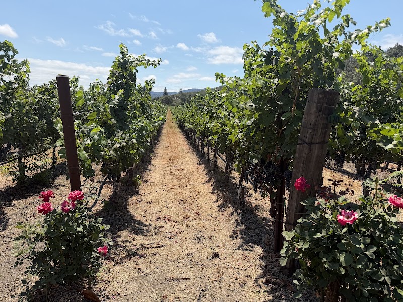 Napa Valley Wine Train - Napa Valley Wine Train, 1275 McKinstry St, Napa, CA 94559, USA