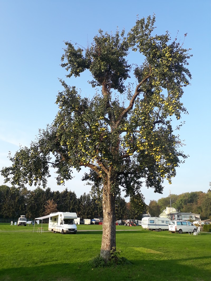 Camping Weiss am Bodensee - Camping Weiss am Bodensee Brachsenweg 4, 6900 Bregenz, Austria