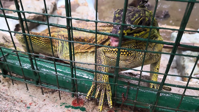 Bilar - Bilar, Bohol, Philippines