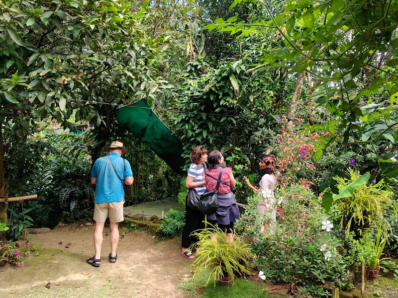 GREEN LAND SPICE GARDEN - GREEN LAND SPICE GARDEN, Kottayam-Kumily Rd, Springvalley Springvalley Periyar, Kerala 685533, Springvalley, Periyar, Keralam 685509, India