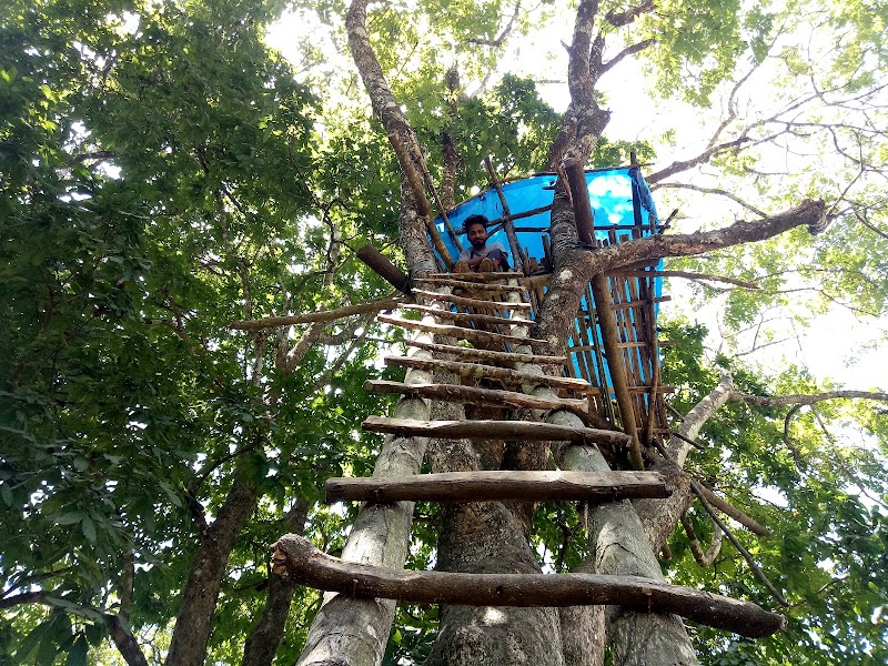 Kattikkulam - Kattikkulam, Kerala 670646, India