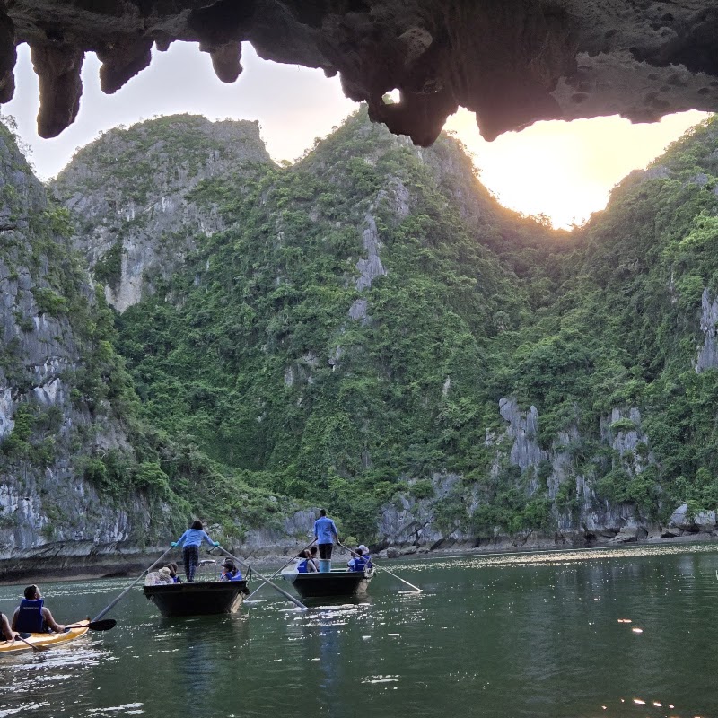 Dark Cave - Dark Cave, R32W+5V7, Cat Hai, Hai Phong, Vietnam
