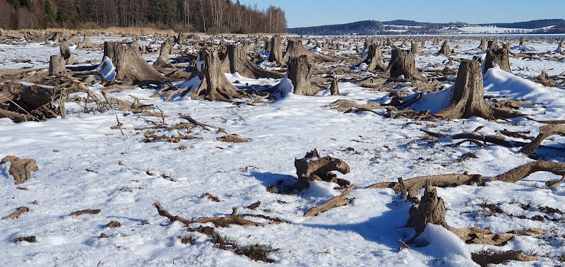 Lipno - Lipno, Frýdava, 382 73 Přední Výtoň-Vyšší Brod, Czechia