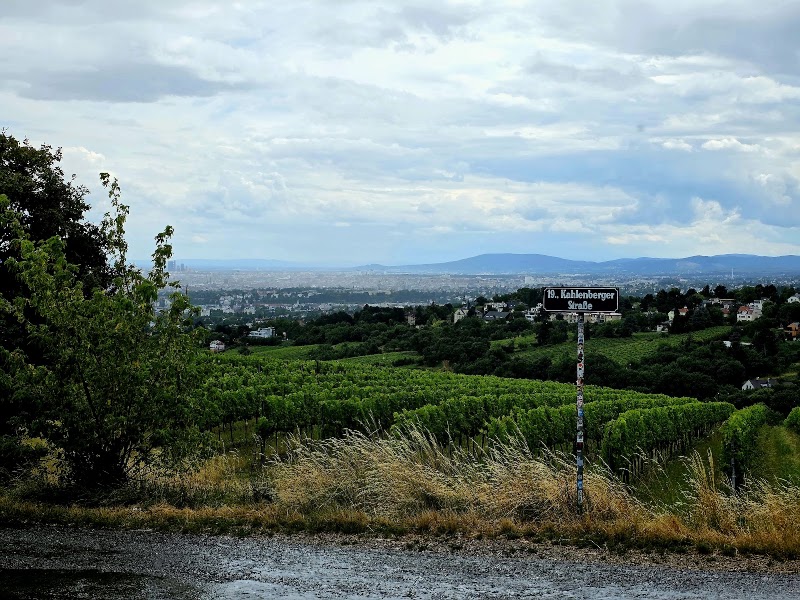 Weingut Wailand - Weingut Wailand, Kahlenberger Str. 220, 1190 Wien, Austria
