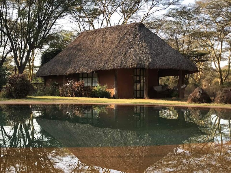Lewa Wildlife Conservancy - Lewa Wildlife Conservancy, Isiolo, Kenya