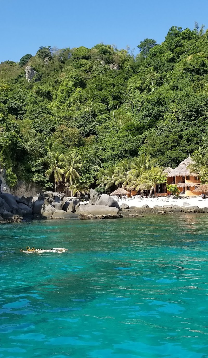 Apo Island - Apo Island, Dauin, Negros Oriental, Philippines