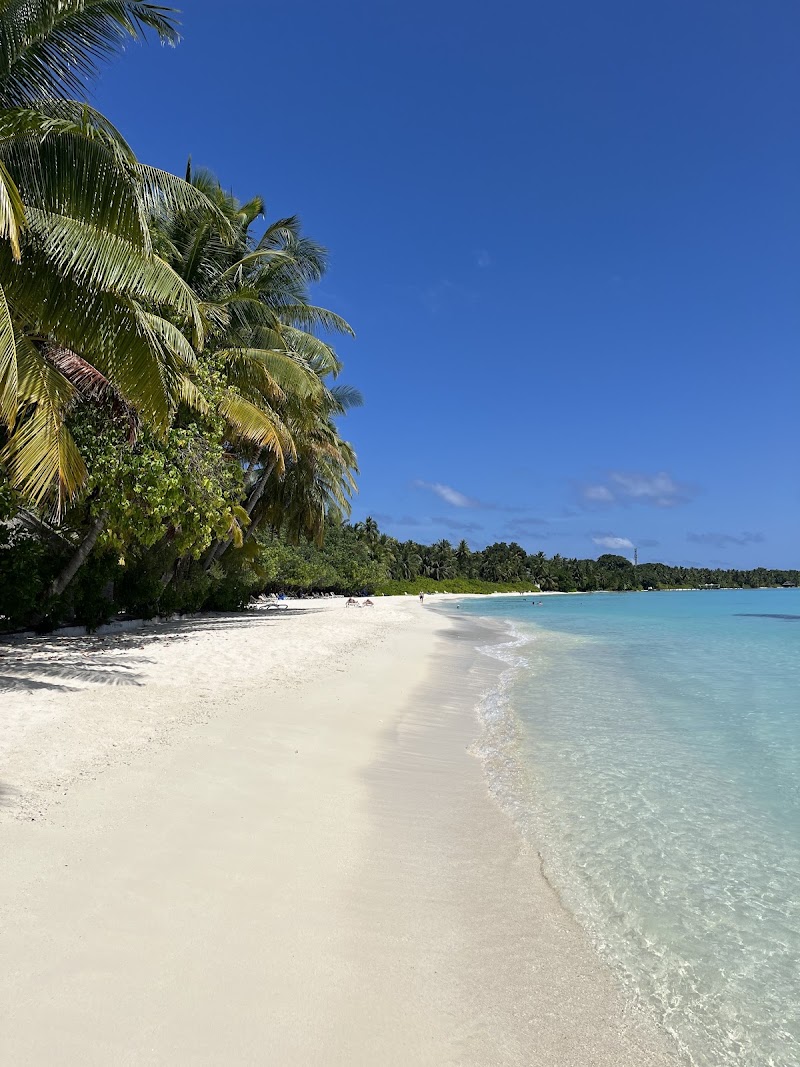Sand Bank, Kuramathi Island, Maldives - Sand Bank, Kuramathi Island, Maldives, Kuramathi island, Maldives