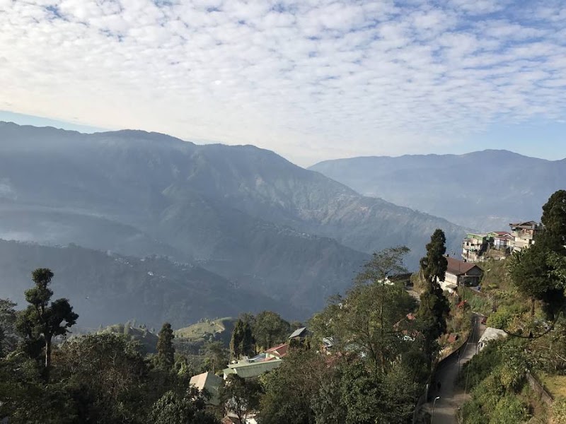 Teesta Homestay (Darjeeling Town) - Teesta Homestay (Darjeeling Town) Pamphawati Gurungni Road, Zoo Singamari, near HMI Building, North Point, Darjeeling, West Bengal 734101, India