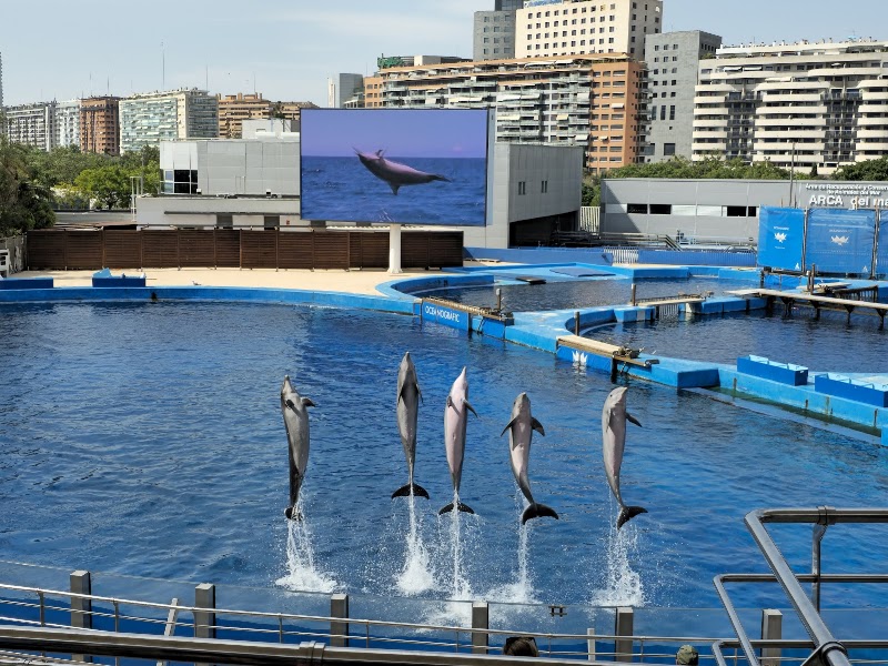 Oceanogràfic València - Oceanogràfic València, C/ d'Eduardo Primo Yúfera, 1, Quatre Carreres, 46013 València, Valencia, Spain
