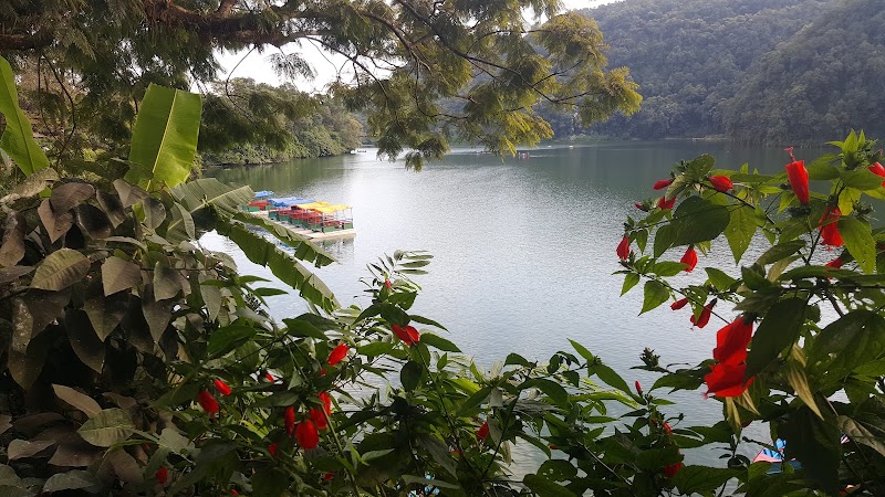 Hotel Lotus Inn - Hotel Lotus Inn, Baidam, Pokhara-6, पोखरा 33700, Nepal