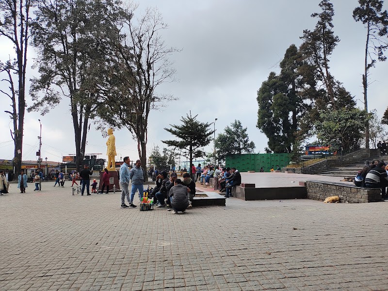Darjeeling Hotel - Darjeeling Hotel 47, Gandhi Rd, Limbugaon, Darjeeling, West Bengal 734101, India