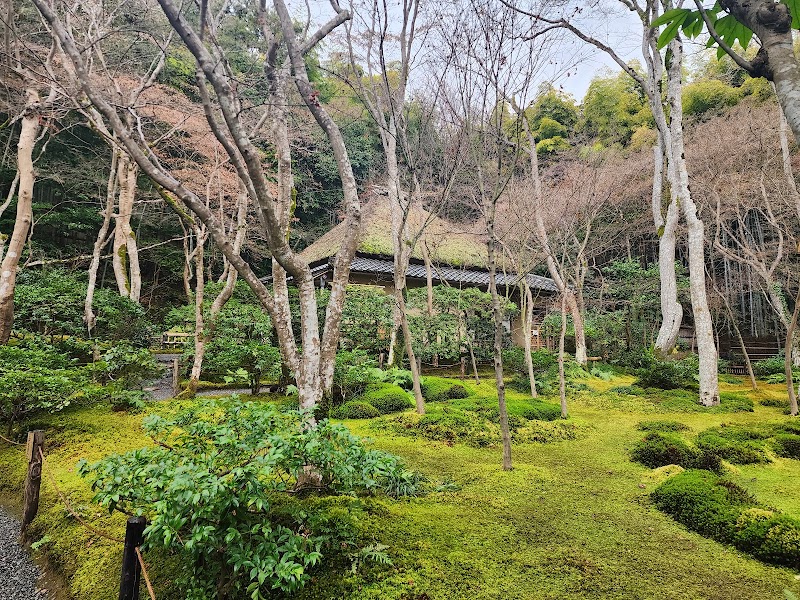 Giōji Temple - Giōji Temple 32 Sagatoriimoto Kozakachō, Ukyo Ward, Kyoto, 616-8435, Japan