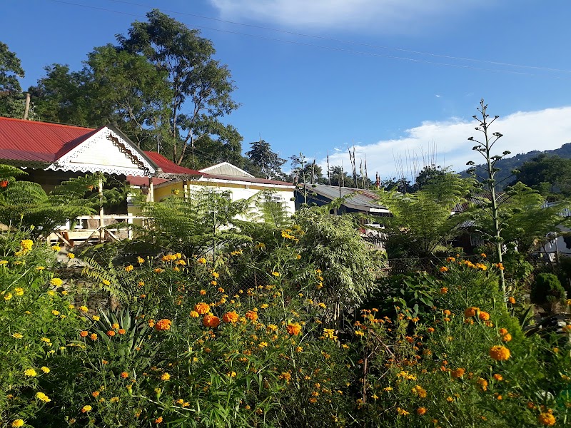 Tabakoshi Homestay Tea village an offbeat in Darjeeling - Tabakoshi Homestay Tea village an offbeat in Darjeeling Magarjung Tea Garden Kanabir,Tabakoshi, W5FG+4RJ, Mangarjung Tea Garden, West Bengal 734215, India