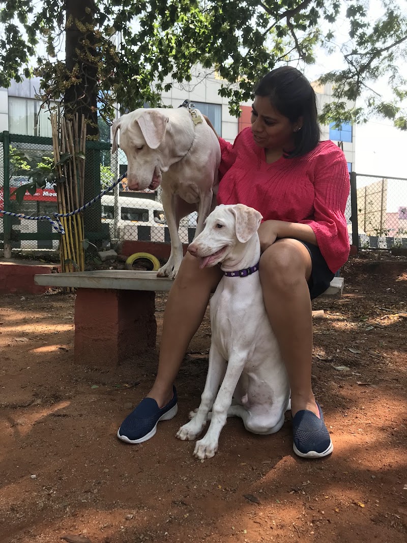 Domlur Dog Park - Domlur Dog Park, XJ6P+CM6, Domlur I Stage, 1st Stage, Domlur, Bengaluru, Karnataka 560071, India