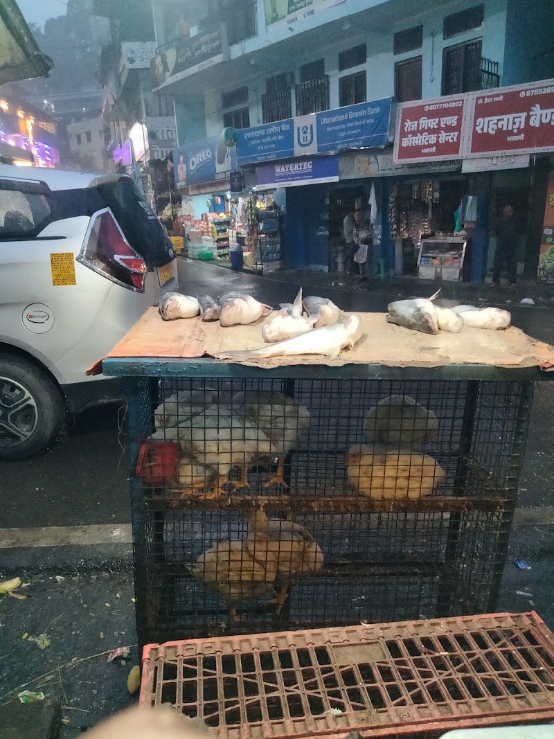 Kumaun Chicken Shop 786 - Kumaun Chicken Shop 786, 011 Main Chauraha Bhowali, Bhowali, Sukha, Uttarakhand 263132, India