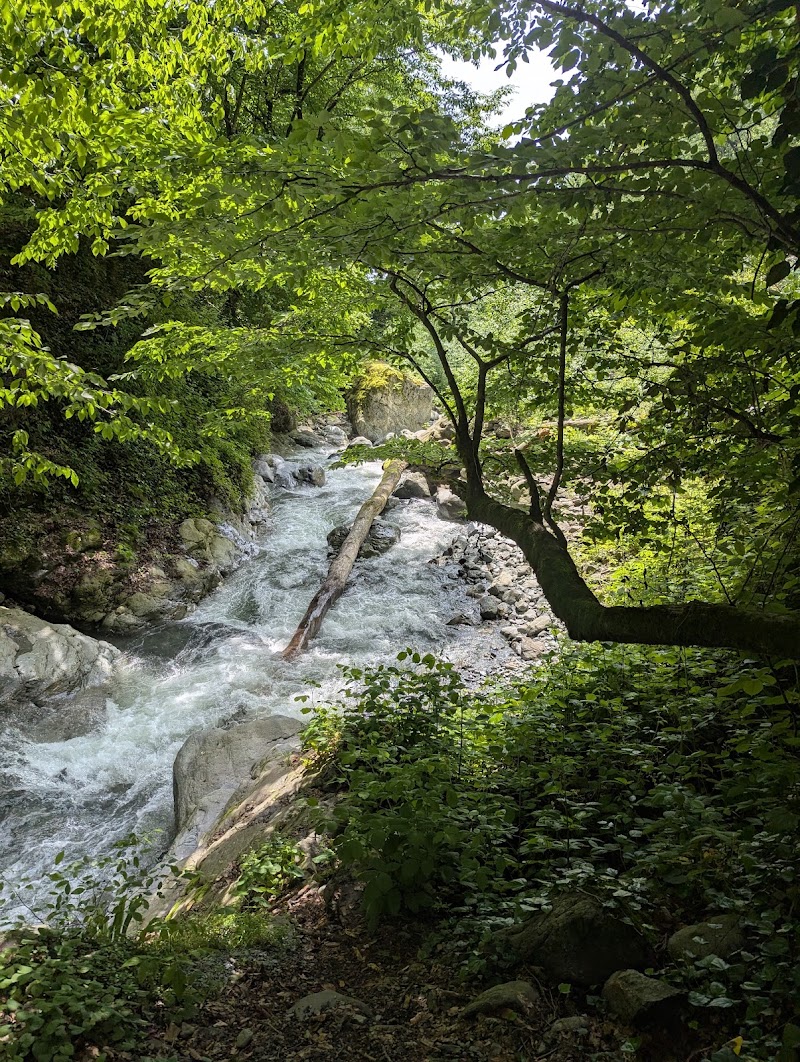 Gorge - Gorge, V75Q+PP, Lagodekhi, Georgia