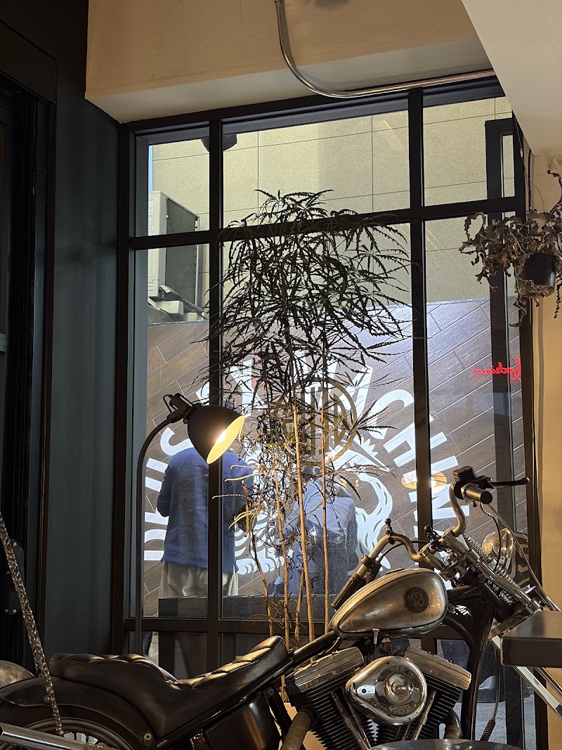 Deus Ex Machina - The Chamber of Eternal Combustion - Deus Ex Machina - The Chamber of Eternal Combustion, 56 Ttukseom-ro 17ga-gil, Seongdong-gu, Seoul, South Korea