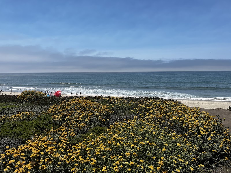 Half Moon Bay State Beach - Half Moon Bay State Beach 2 Venice Blvd, Half Moon Bay, CA 94019, USA