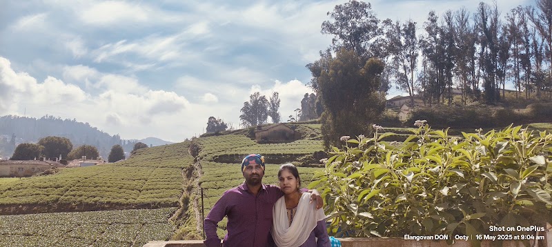 Ooty rooms and cottage - Ooty rooms and cottage Near, royal Enfield show room, Fingerpost, Ooty, Tamil Nadu 643001, India