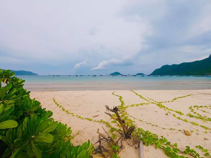 Sở Lò Vôi - Sở Lò Vôi, MJVF+52P, Nguyễn Văn Cừ, Côn Đảo, Hồ Chí Minh, Vietnam