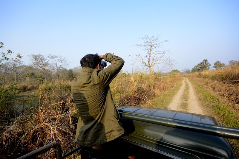 Green Park Chitwan - Green Park Chitwan, Tiger Point , Baghmara Chitwan National Park, HFRQ+2FC, रत्‍ननगर, बागमती प्रदेश 44200, Nepal