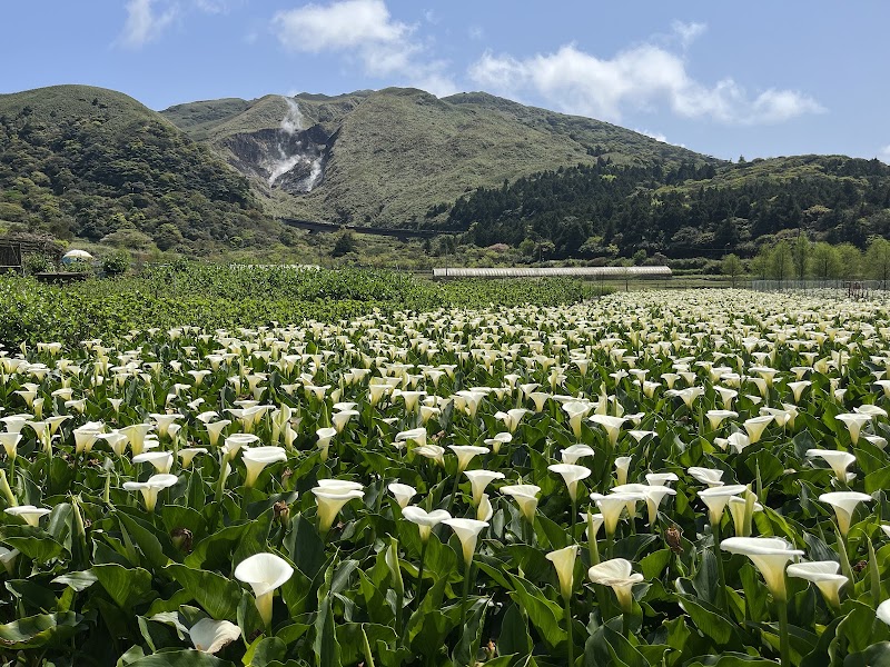 Yangmingshan National Park - Yangmingshan National Park, Taiwan