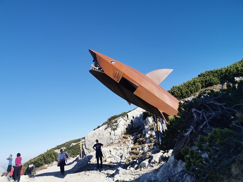 Dachstein Shark - Dachstein Shark, Winkl 34, 4831 Obertraun, Austria