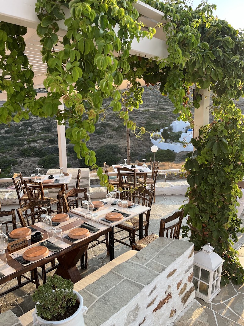 STIADI RESTAURANT