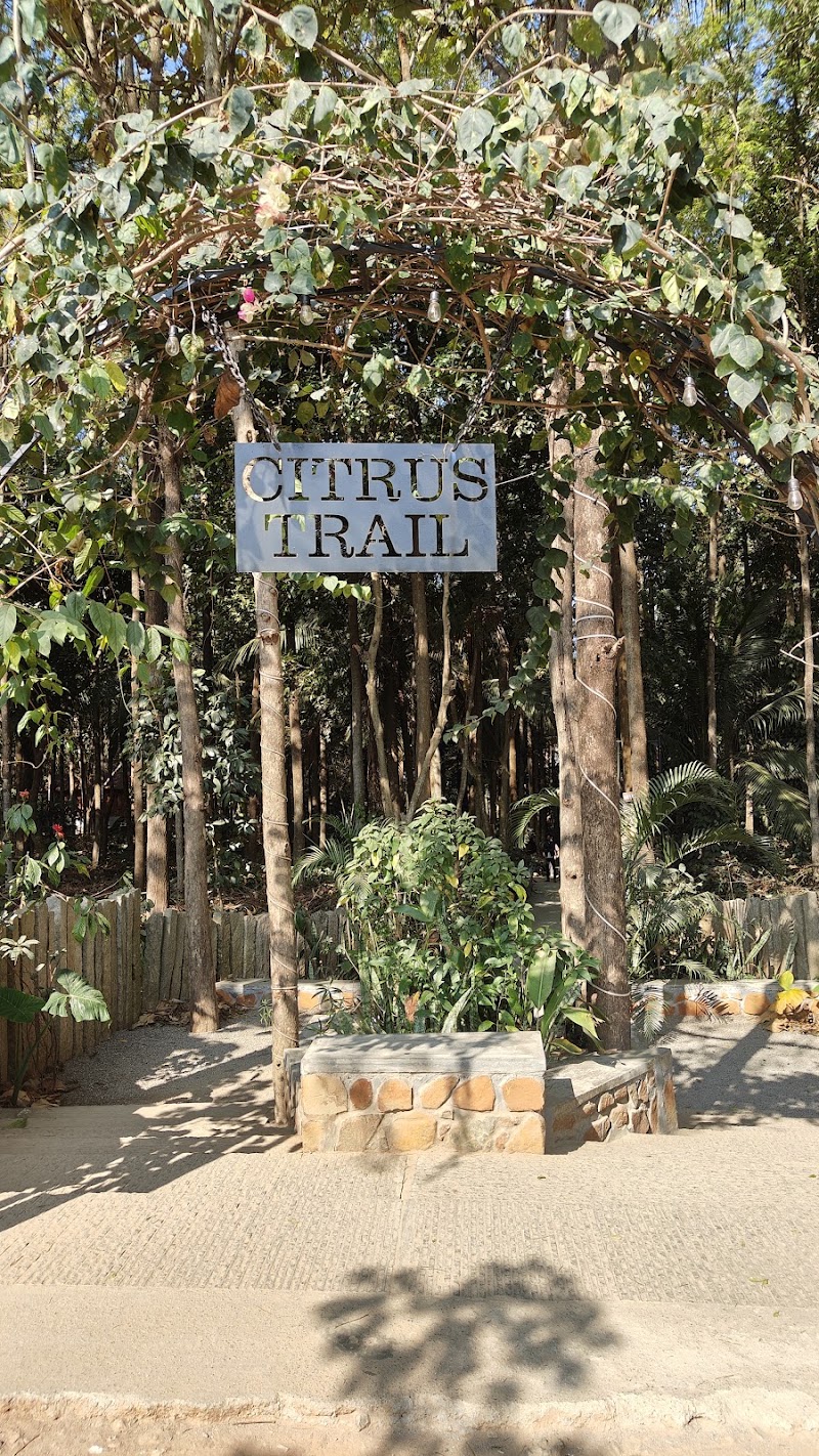 Citrus Trail Farm and Kitchen Parking - Citrus Trail Farm and Kitchen Parking PHF9+JXV, Hongemara, Shivanahalli, Karnataka 560083, India