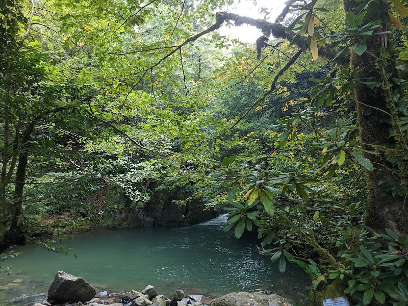 Mtirala National Park - Mtirala National Park, MV6H+M57, Chakvistavi, Georgia