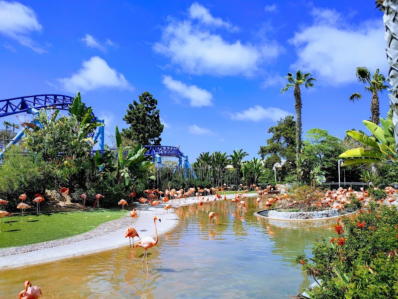 SeaWorld San Diego - SeaWorld San Diego 500 Sea World Dr., San Diego, CA 92109, USA