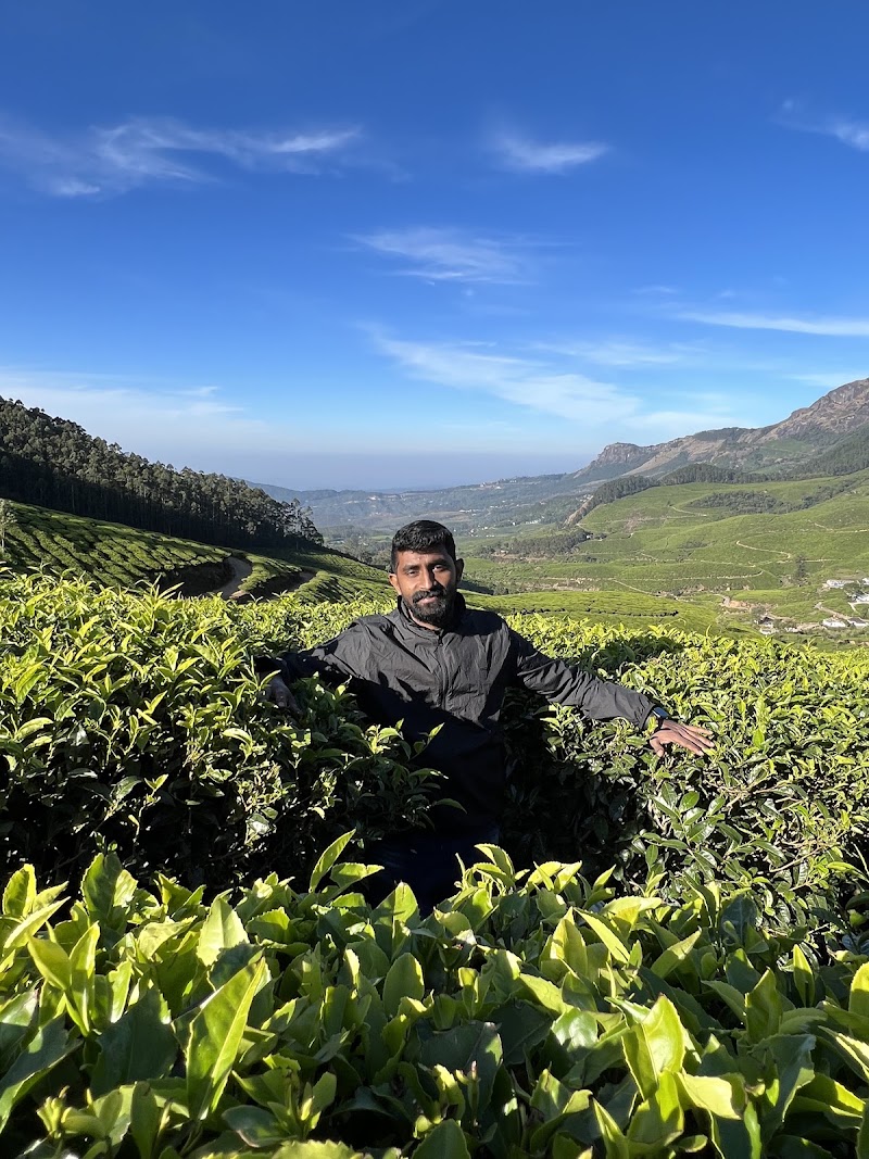 Suryanelli Tea Garden View Point - Suryanelli Tea Garden View Point 3688+MX9, Suryanelli-Kolukkumalai Tea Estate Road, Suryanelli, Kerala 685618, India
