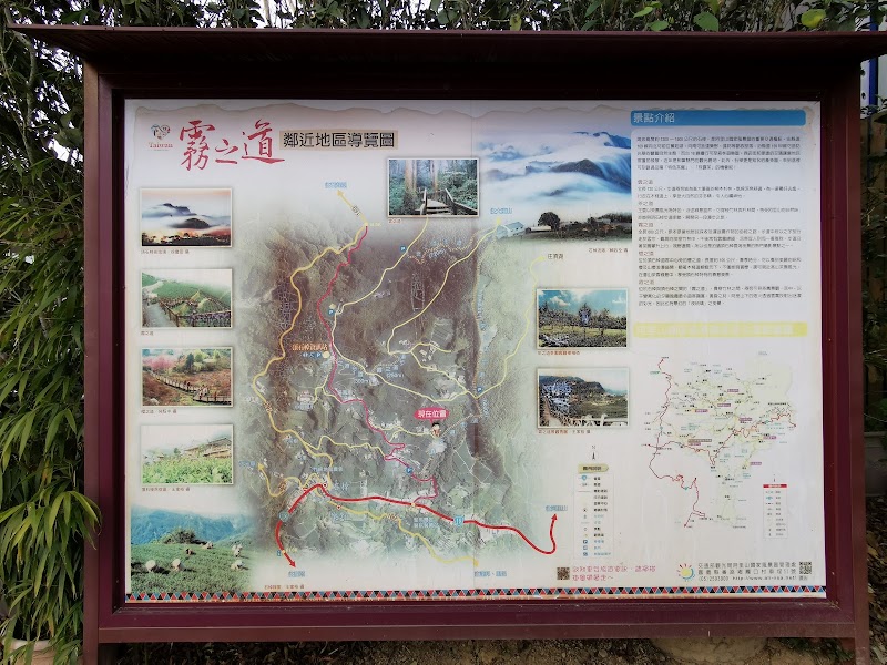 Mist Trail - Mist Trail 604, Taiwan, Chiayi County, Zhuqi Township, 16
