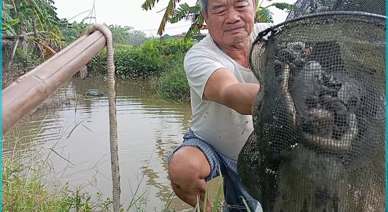 A Lúng Countryside - A Lúng Countryside, 72JG+VC4, Thượng Đồng, Vạn Thắng, Ninh Bình, Vietnam