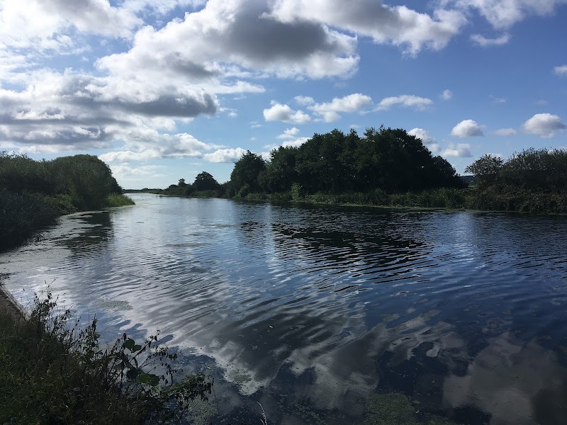 River Exe - River Exe, United Kingdom