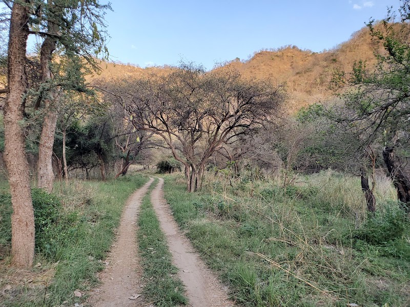 Kumbhalgarh Wildlife Sanctuary Checkpost
