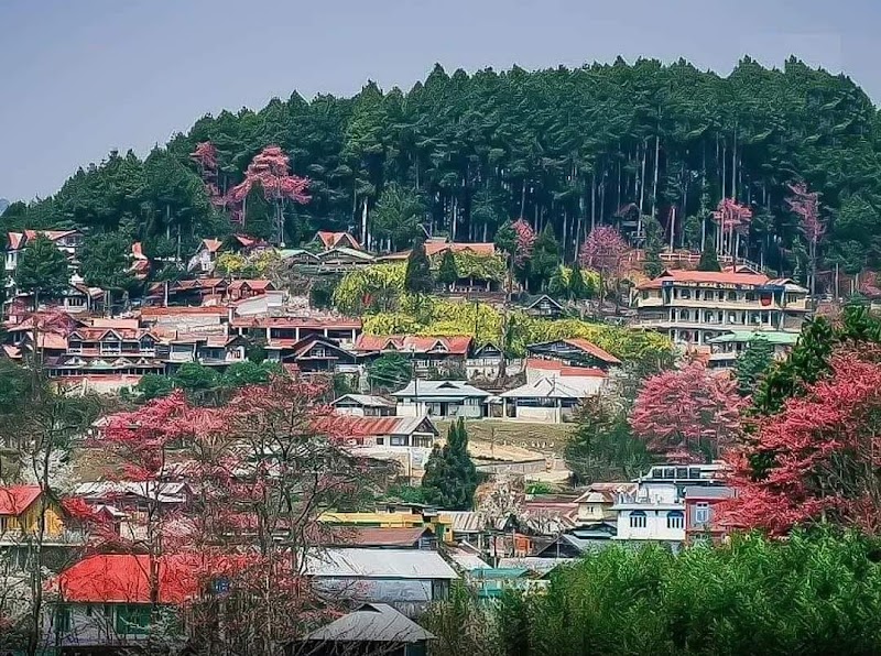Ziro - Ziro Ziro 791120