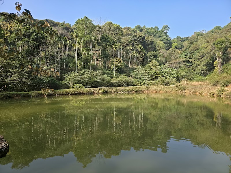 Agani Reserve Homestay - Sakleshpur - Agani Reserve Homestay - Sakleshpur 87-A, Agani, Agani Rd, Sakleshpura, Agani, Karnataka 573165, India