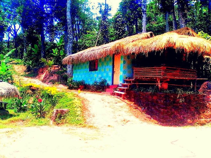 Sakleshpur Homestay / Horrti Green Valley |18 km from sakleshpur town| 2000 per person - Sakleshpur Homestay / Horrti Green Valley |18 km from sakleshpur town| 2000 per person Nudarahalli village, kyanhalli, WQWQ+3H8, Bengaluru - Mangaluru Hwy, Sakleshpura, Kalaginamanchahalli, Karnataka 573134, India