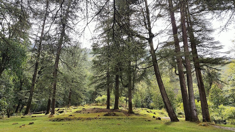Benog Wildlife Sanctuary - Benog Wildlife Sanctuary Charleville, Mussorie Range, Uttarakhand 248179, India