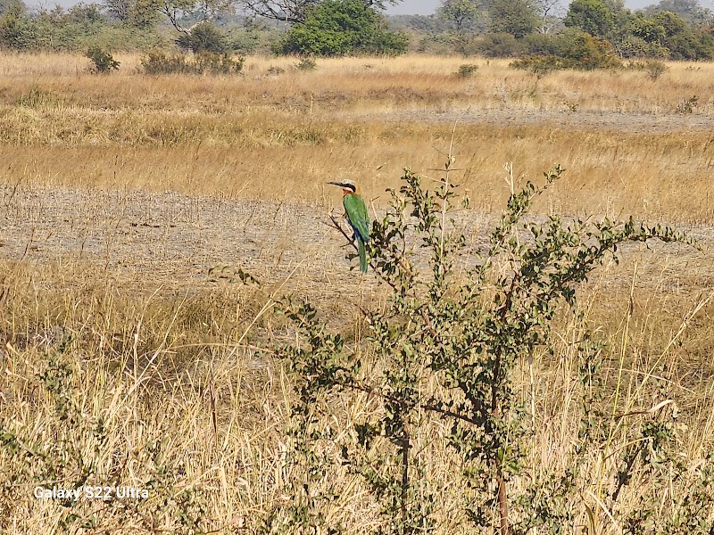 Mudumu National Park - Mudumu National Park, WG3G+C39, Muneambuanas, Namibia