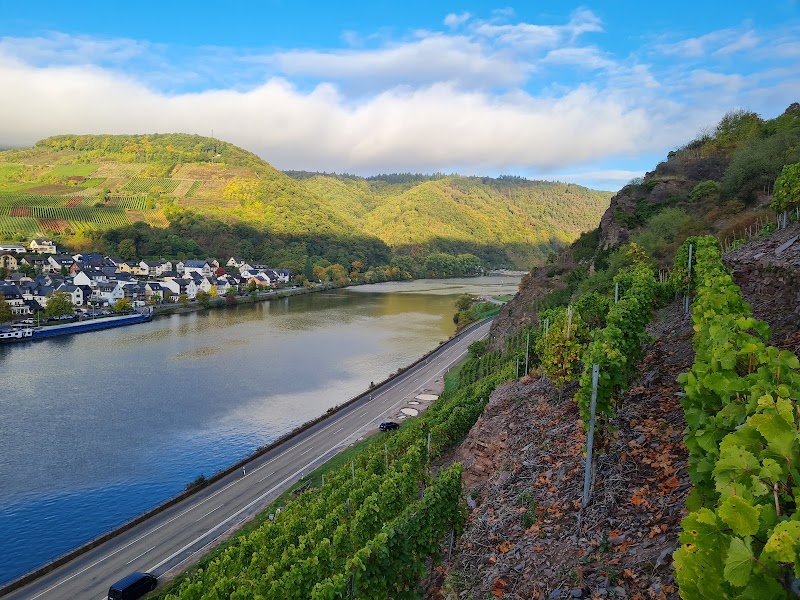 Mosel Weingut & Pension Riedel - Mosel Weingut & Pension Riedel, Hauptstraße 34, 56814 Bruttig-Fankel, Germany